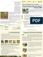 Reforestacion Pomac .Eco - Siembra Vida