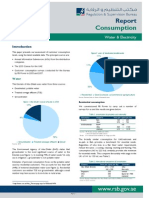 UAE Electricity and Water Consumption Report