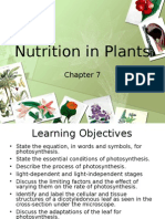 Pure Biology Chapter 7 Nutrition in Plants