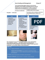 Acne Grading Guideline (Group 17)