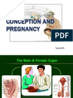 Conception and Pregnancy