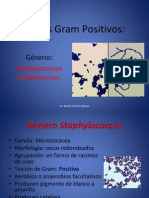 Cocos Gram Positivos