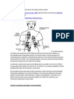 Ejercicios Basados en Los Efectos de Los Seis Sonidos Curativos Taoístas