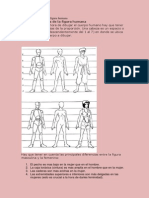 Proporciones Básicas de La Figura Humana