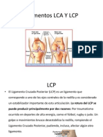 Ligamentos LCA Y LCP