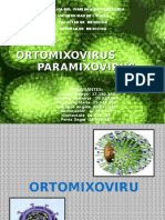 Ortomixovirus Paramixovirus