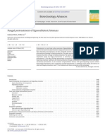 Fungal Pretreatment of Lignocellulosic Biomass