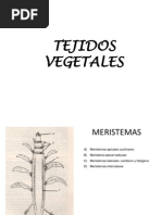 1854808538.tejidos Vegetales en PP