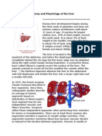 Anatomy and Physiology of The Liver