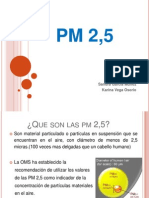 PM2,5