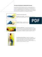 Guía de Ejercicios para La Espalda PDF