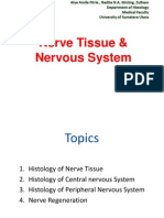 K1-Nerve Tissue & Nervous System (Histologi)