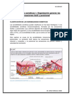 CAPITULO 47. Sensibilidades Somáticas, 1 Organización General, Las Sensaciones Táctil y Posicional. ROSAS LÓPEZ ELIZABETH