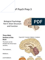 AP Psych Prep 3 - Biological Psychology (Part II)