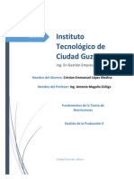 Principios y Características de La Teoría de Restricciones