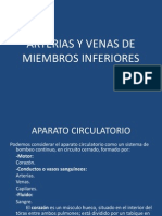 Arterias y Venas de Miembros Inferiores