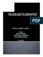 Lecture10 - The Skin and Its Derivatives