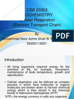 Etc (Electron Transport Chain)