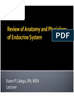 1 Review of Anatomy and Physiology of Endocrine System