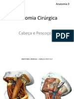 Anatomia II - Anatomia Cirúrgica Cabeça e Pescoço I