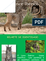 Apresentação Lince Ibérico