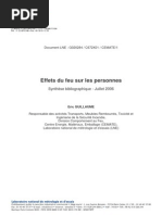 Rapport Effets Feu Personnes Eric Guillaume