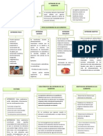 Esquema de Deterioro de Alimentos