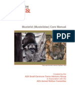 Manual de Mustelidos