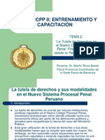 Tema 2 - La Tutela de Derechos en El NCPP