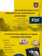 Lacasa para Degradación de Contaminantes