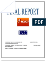 Final Report