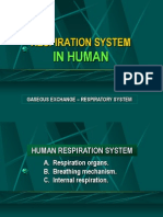 B. Respiration System - Part 2