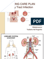 NCP Urinary Tract Infection