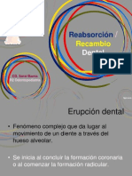 Rizolisis Dental 2