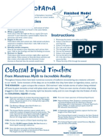 Colossal Squid Timeline: Diorama Activities