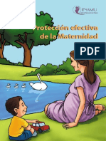 Proteccion A La Maternidad