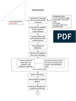 Predisposing Factors: Precipitating Factors:: Gender - Male Weather Age Young Adults