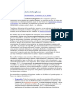 Metabolitos Secundarios de Las Plantas