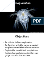 Zooplankton Session I