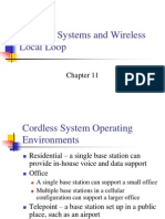 Cordless Systems and Wireless Local Loop