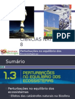 Powerpoint Nr. 2 - Efeitos Da Catástrofes Naturais (Intervenção Humana)