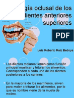 Morfología Oclusal de Los Dientes Anteriores Superiores