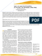 Raio Negro: Um Super-Herói Brasileiro Entre Disputas de Mercado e de Identidade (1965-1966) Aline de Castro Lemos