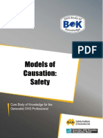 32 Models of Causation Safety