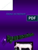 Swine Nutritions