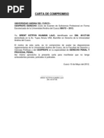 Carta de Compromiso