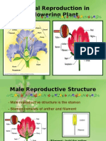 Sexual Reproduction in Flowering Plant