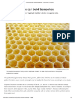 How Honeycombs Can Build Themselves - Nature News & Comment