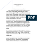 Fisiologia Da Respiração em Mamíferos