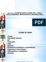 Análise e Interpretação Da Urina Tipo 1